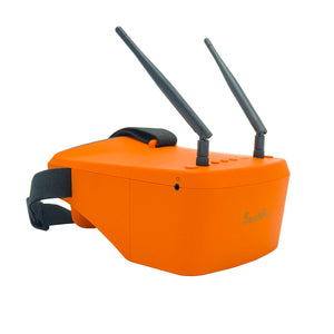 FPV Goggles