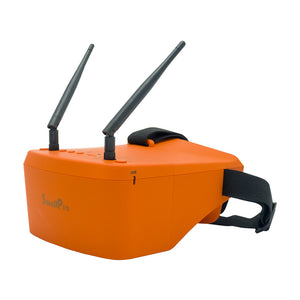 FPV Goggles